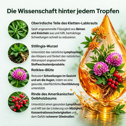 Kivo™ Lymphatische Detox-Tropfen